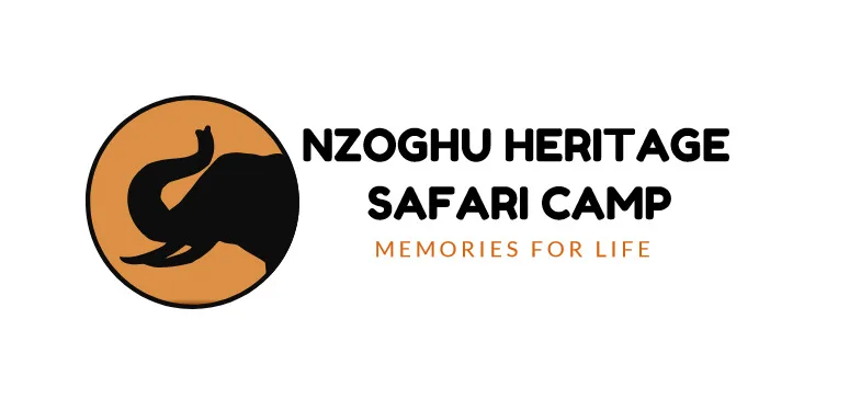 Nzoghu Heritage Safari Camp